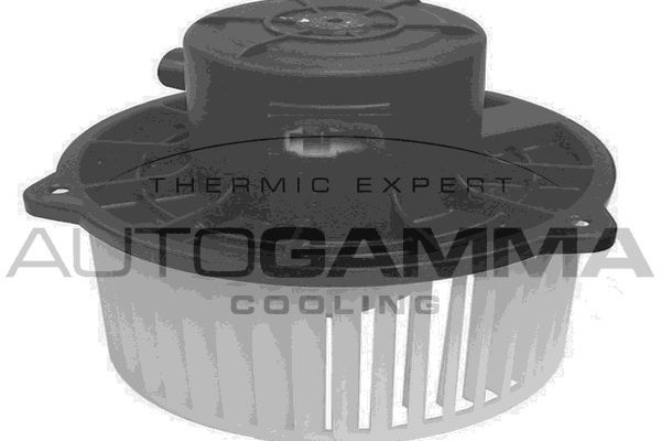 Vidaus pūtiklis AUTOGAMMA GA20058