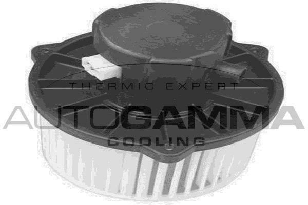 Vidaus pūtiklis AUTOGAMMA GA20059