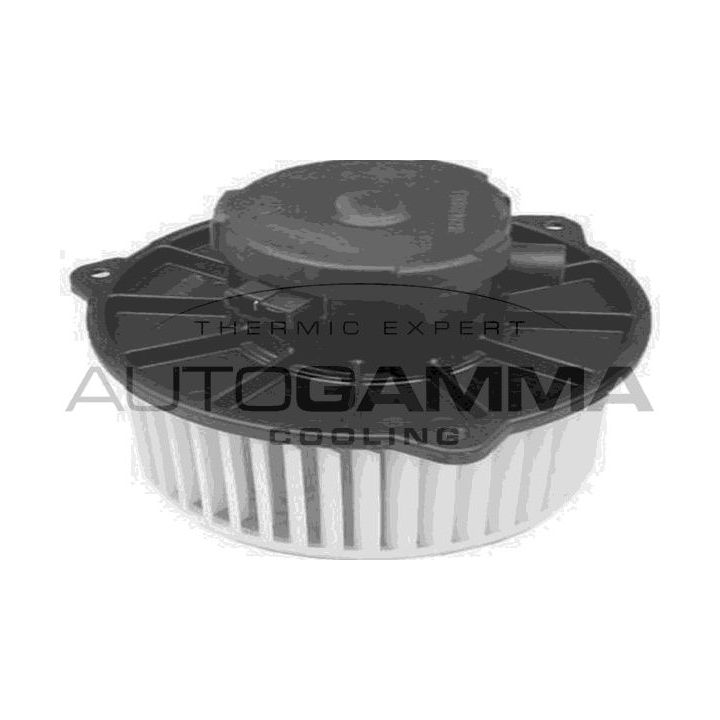 Vidaus pūtiklis AUTOGAMMA GA20060