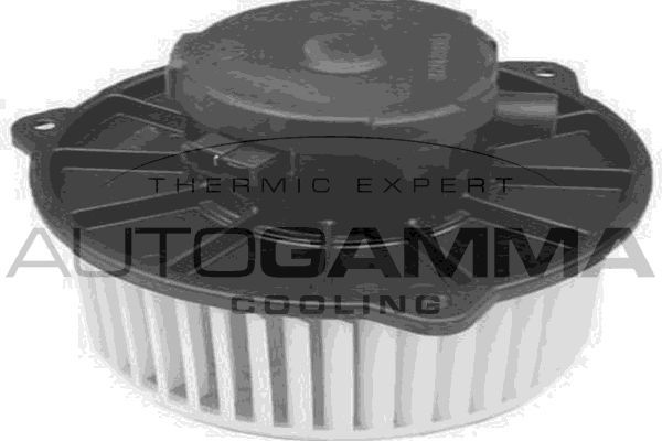 Vidaus pūtiklis AUTOGAMMA GA20060