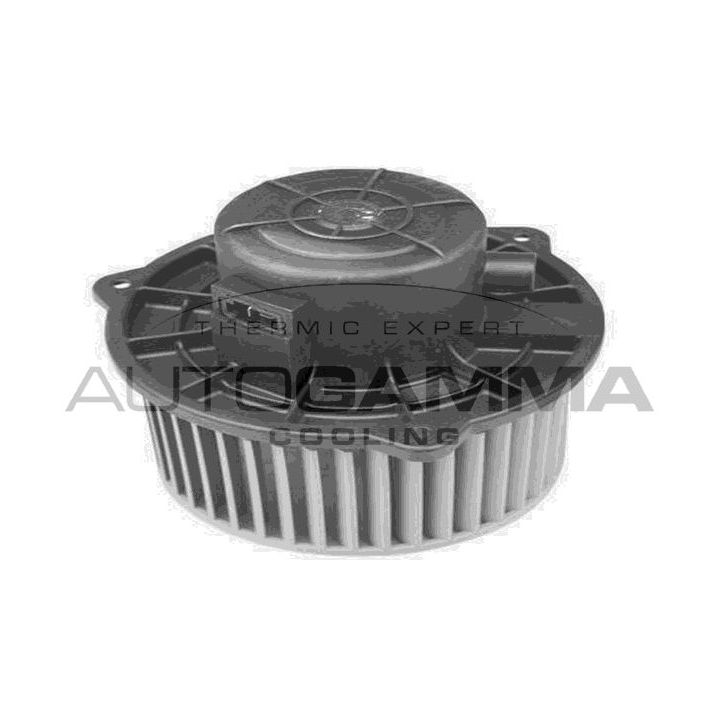 Vidaus pūtiklis AUTOGAMMA GA20061