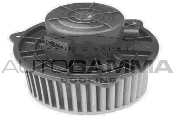 Vidaus pūtiklis AUTOGAMMA GA20061