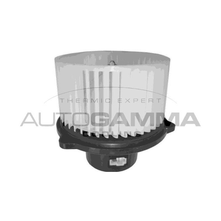 Vidaus pūtiklis AUTOGAMMA GA20062