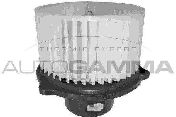 Vidaus pūtiklis AUTOGAMMA GA20062