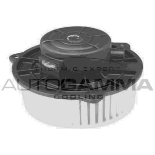 Vidaus pūtiklis AUTOGAMMA GA20063