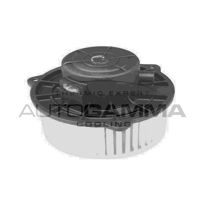 Vidaus pūtiklis AUTOGAMMA GA20063