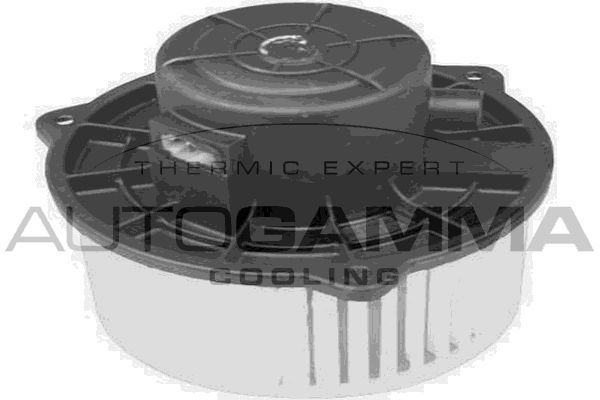 Vidaus pūtiklis AUTOGAMMA GA20063