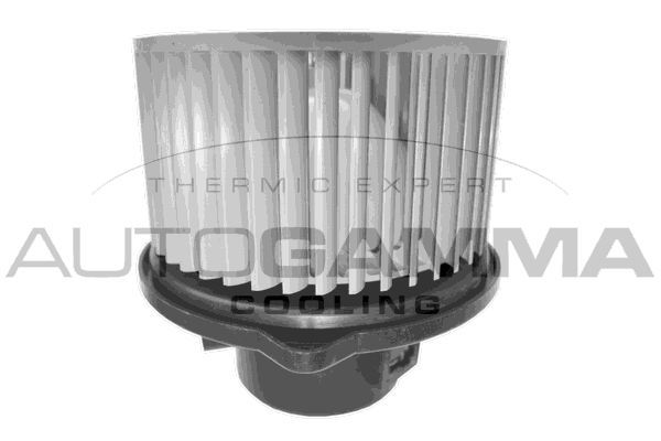 Vidaus pūtiklis AUTOGAMMA GA20064