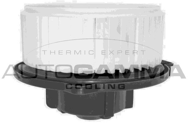 Vidaus pūtiklis AUTOGAMMA GA20067