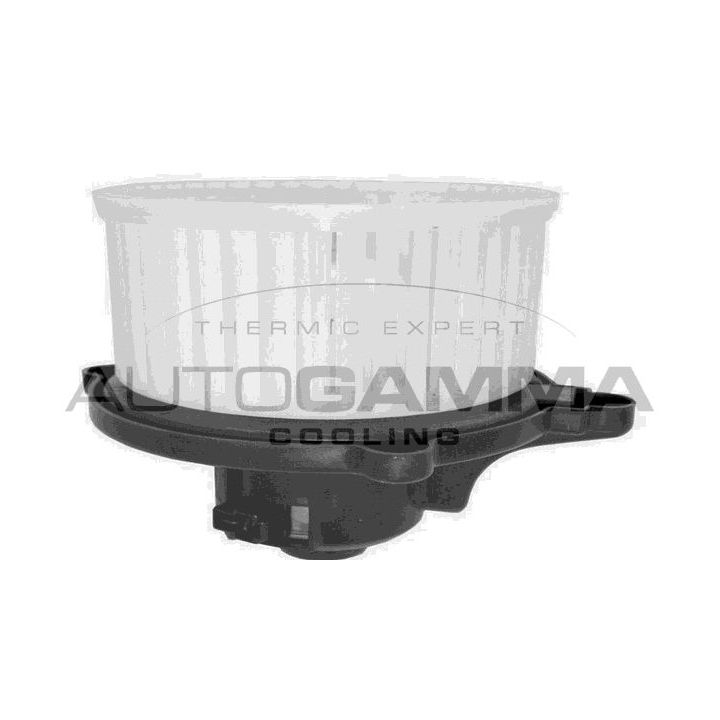 Vidaus pūtiklis AUTOGAMMA GA20068