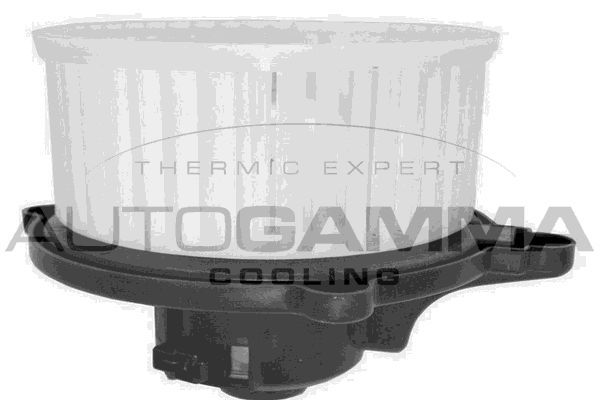 Vidaus pūtiklis AUTOGAMMA GA20068