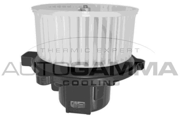 Vidaus pūtiklis AUTOGAMMA GA20069