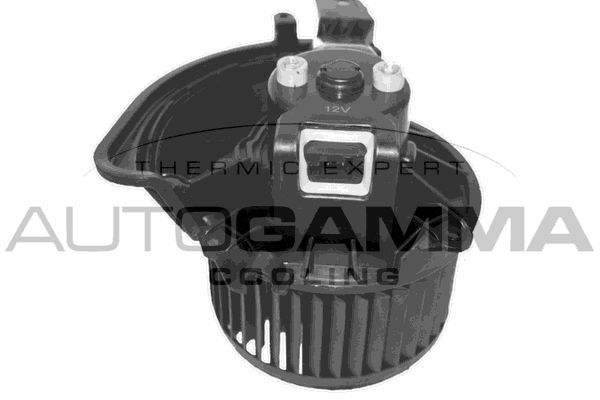 Vidaus pūtiklis AUTOGAMMA GA20094