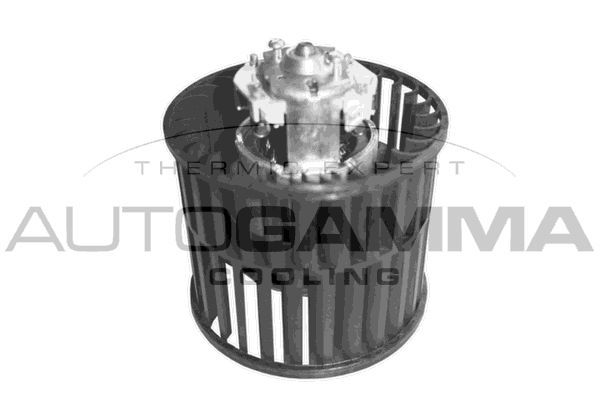 Vidaus pūtiklis AUTOGAMMA GA20099