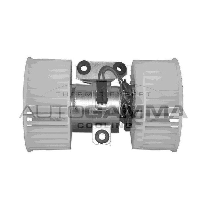 Vidaus pūtiklis AUTOGAMMA GA20118