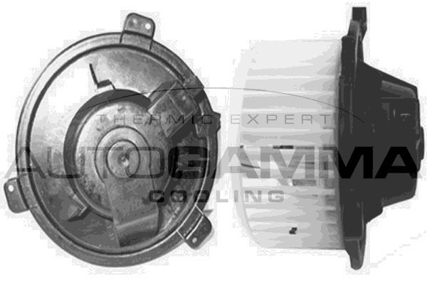 Vidaus pūtiklis AUTOGAMMA GA20121