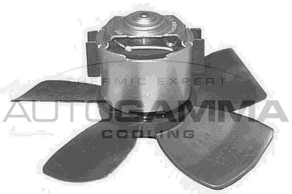 Vidaus pūtiklis AUTOGAMMA GA20130