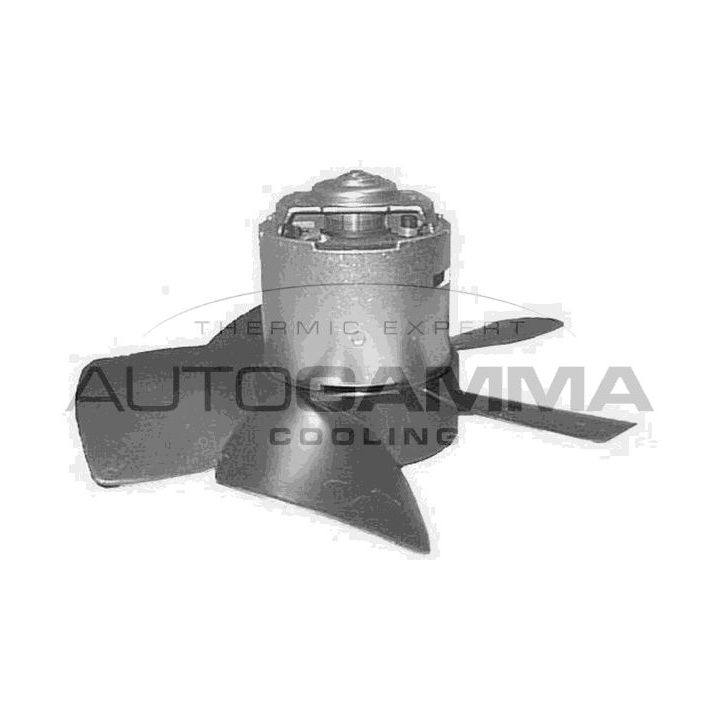 Vidaus pūtiklis AUTOGAMMA GA20142