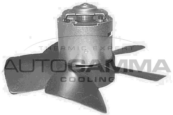 Vidaus pūtiklis AUTOGAMMA GA20142