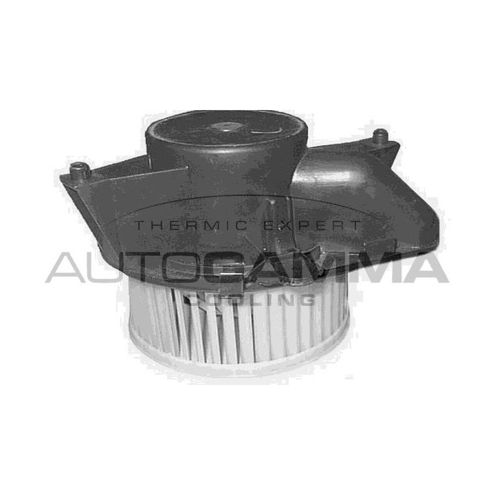 Vidaus pūtiklis AUTOGAMMA GA20148