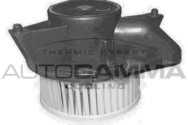 Vidaus pūtiklis AUTOGAMMA GA20148