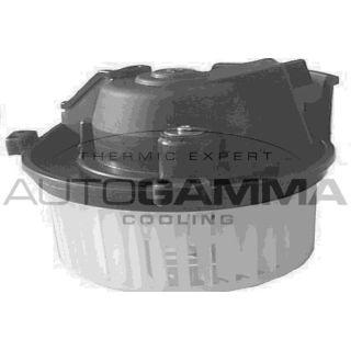 Vidaus pūtiklis AUTOGAMMA GA20153