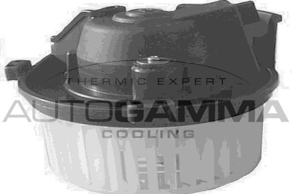 Vidaus pūtiklis AUTOGAMMA GA20153