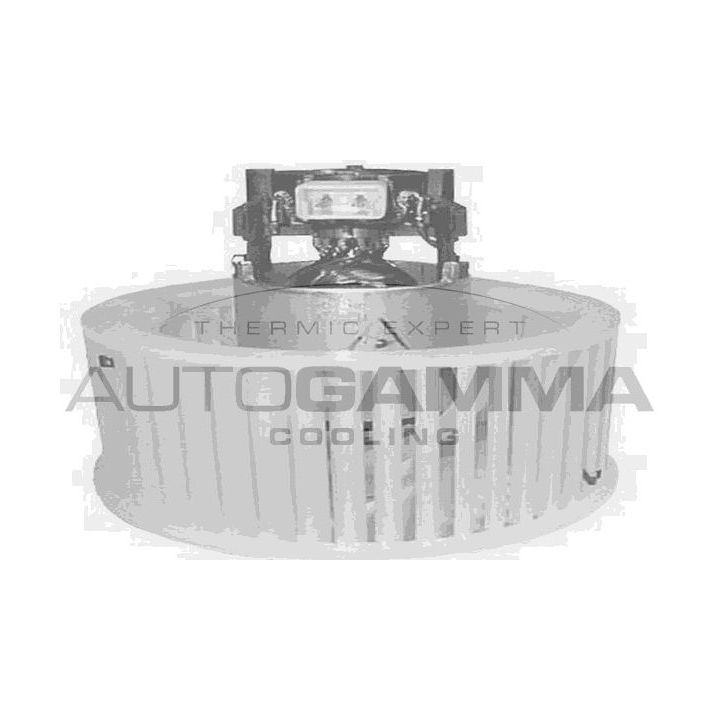 Vidaus pūtiklis AUTOGAMMA GA20154