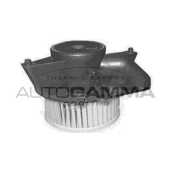 Vidaus pūtiklis AUTOGAMMA GA20158