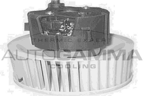 Vidaus pūtiklis AUTOGAMMA GA20159