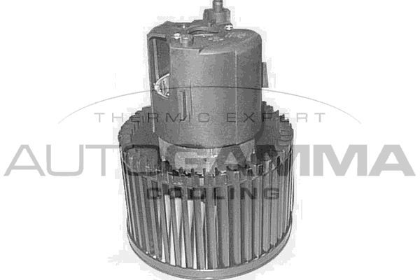 Vidaus pūtiklis AUTOGAMMA GA20161