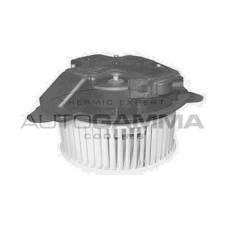 Vidaus pūtiklis AUTOGAMMA GA20162