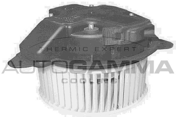 Vidaus pūtiklis AUTOGAMMA GA20162