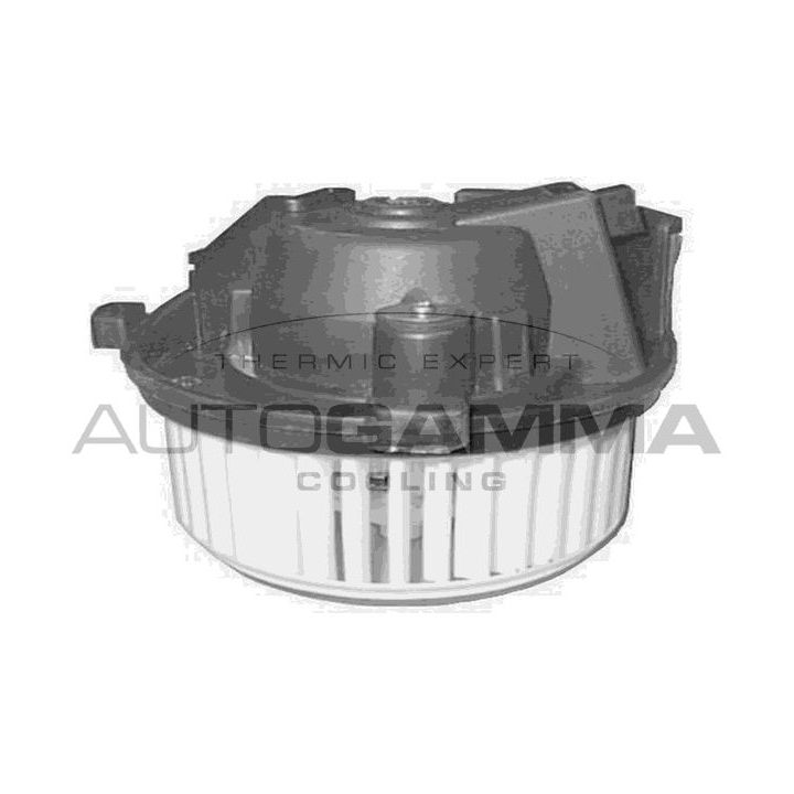 Vidaus pūtiklis AUTOGAMMA GA20168