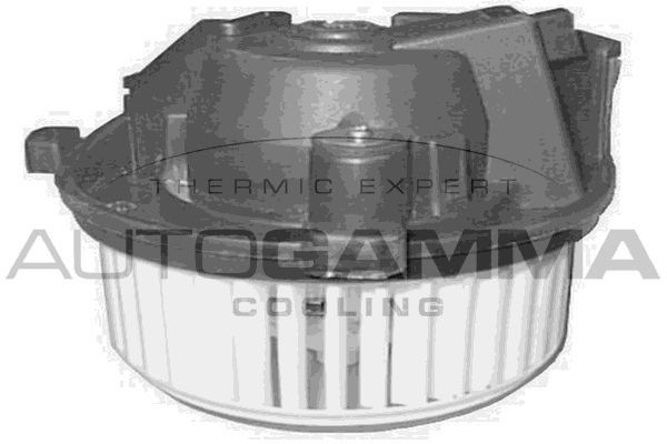 Vidaus pūtiklis AUTOGAMMA GA20168