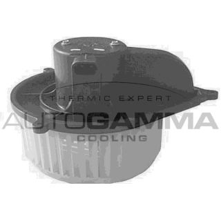 Vidaus pūtiklis AUTOGAMMA GA20169