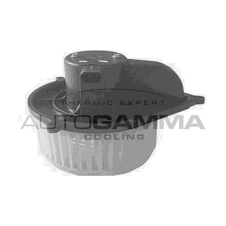 Vidaus pūtiklis AUTOGAMMA GA20169