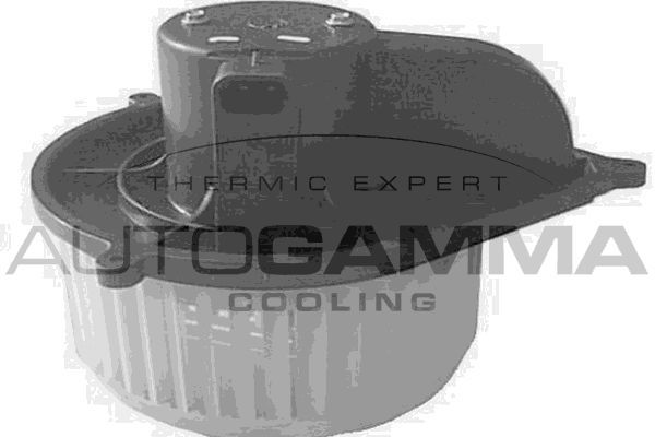 Vidaus pūtiklis AUTOGAMMA GA20169