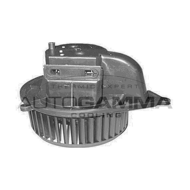 Vidaus pūtiklis AUTOGAMMA GA20172