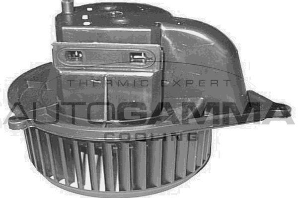 Vidaus pūtiklis AUTOGAMMA GA20172