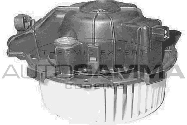 Vidaus pūtiklis AUTOGAMMA GA20173