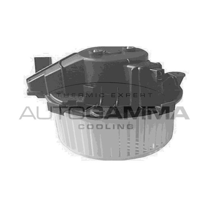 Vidaus pūtiklis AUTOGAMMA GA20174