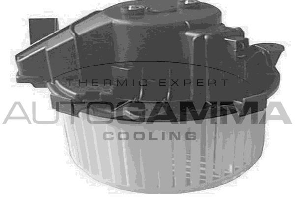 Vidaus pūtiklis AUTOGAMMA GA20174