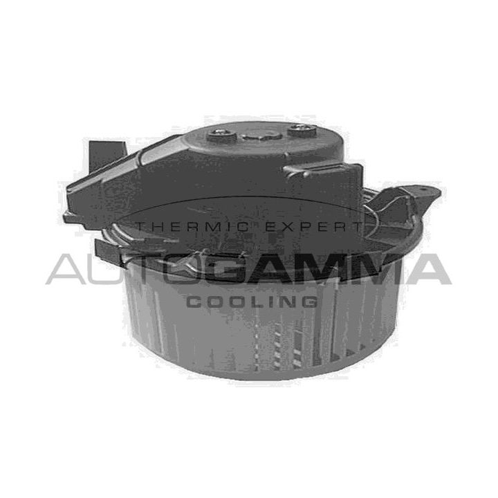 Vidaus pūtiklis AUTOGAMMA GA20175