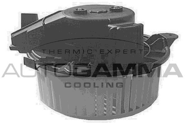 Vidaus pūtiklis AUTOGAMMA GA20175