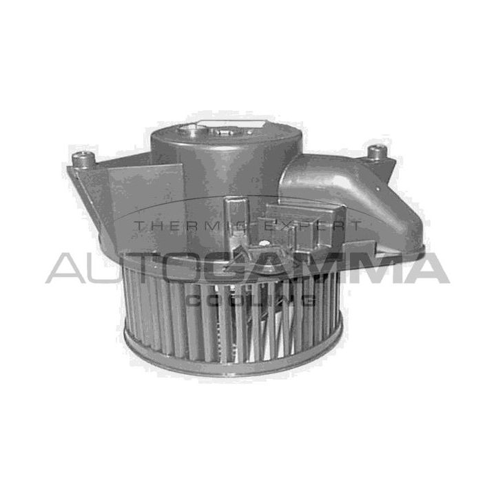 Vidaus pūtiklis AUTOGAMMA GA20178