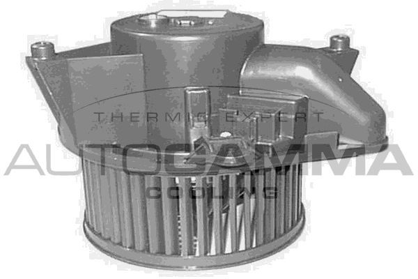 Vidaus pūtiklis AUTOGAMMA GA20178