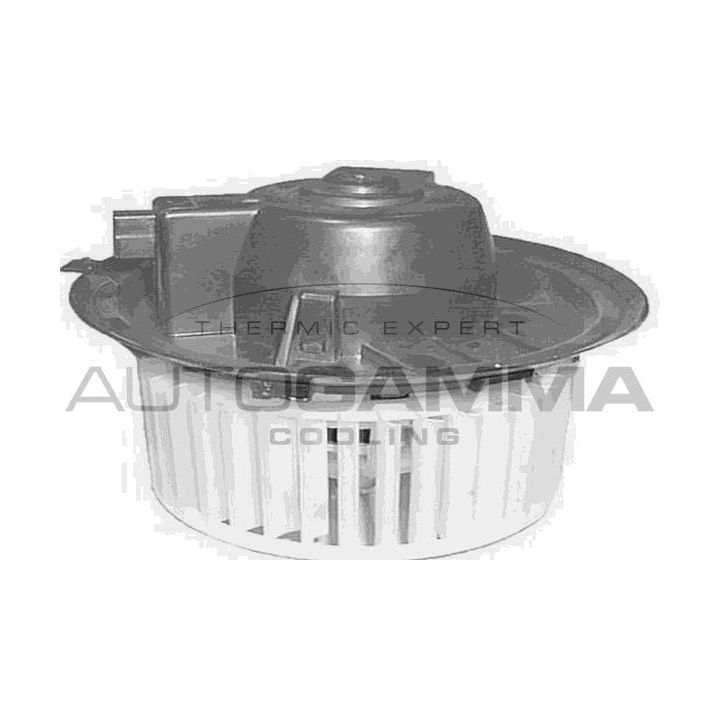 Vidaus pūtiklis AUTOGAMMA GA20179