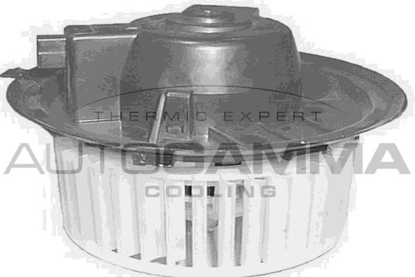 Vidaus pūtiklis AUTOGAMMA GA20179