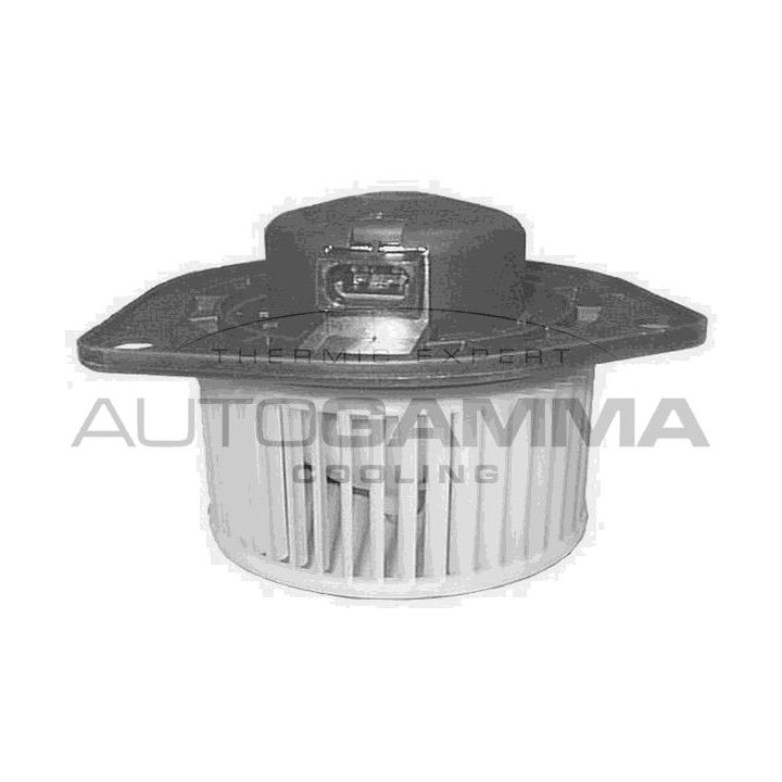 Vidaus pūtiklis AUTOGAMMA GA20205
